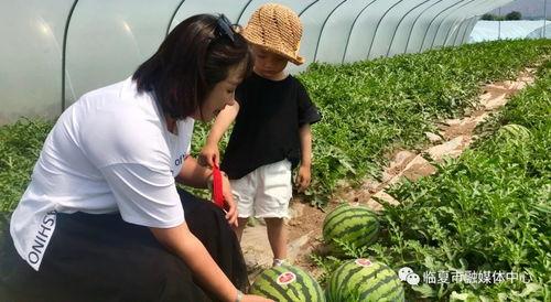 黑料吃瓜网apk普通安装 