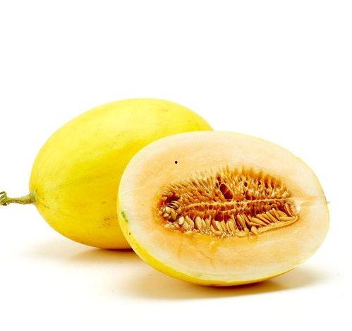 蜜瓜视频 