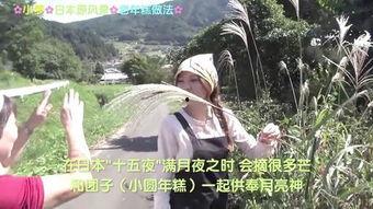 热料小说 