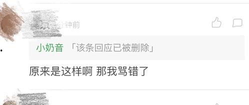 铲屎官给我吃 