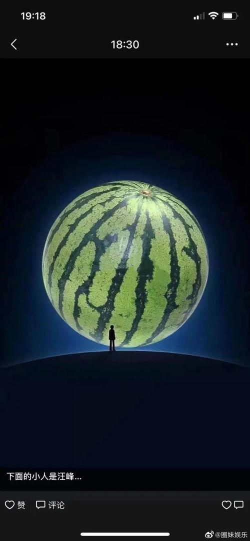 你是什么梗 